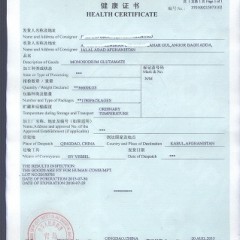 办理出口健康证，CIQ健康证书