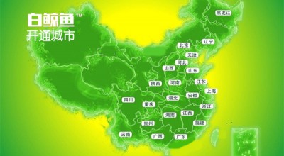 白鲸鱼再放大招，开通城市几乎覆盖全国各省份