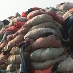 大量黑料供应
