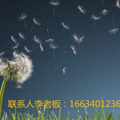 寻求优质夏装