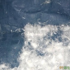 长期出售羽绒服， 羽绒被， 主供拆绒