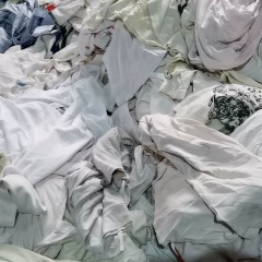 江苏地区长期收购大白