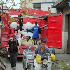 常年回收 旧衣服箱子货