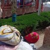 夏装