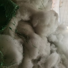 全新棉拖鞋 丝绵 毛绒玩具供应