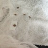 长期供应旧衣分拣货
